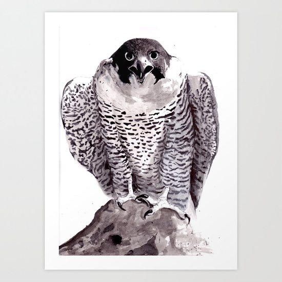 falcon 1 Art Print