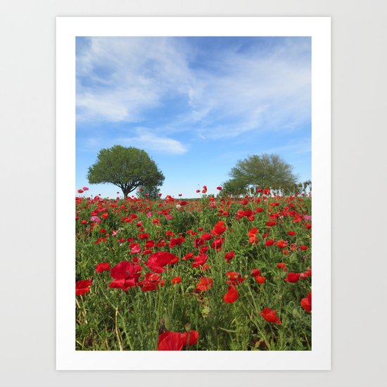 Poppy Field Art Print