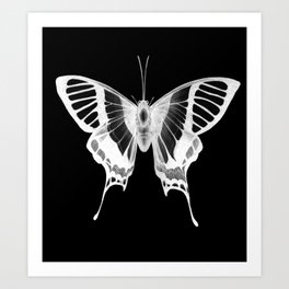 Butterfly's Ghost Art Print