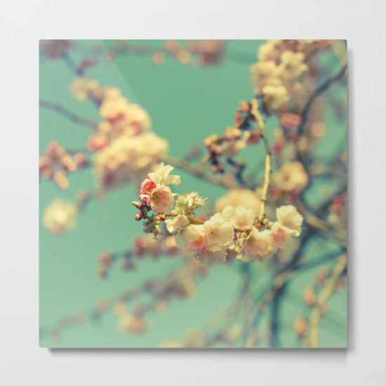 Pink blue blossom Metal Print