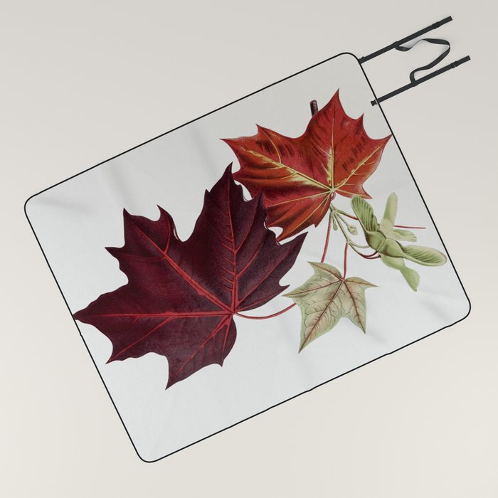 Maple Leaves Picnic Blanket