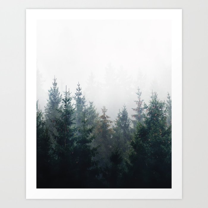 Say Hello Wave Goodbye // Misty Romantic Retro Fall Wilderness Fairytale Forest With Trees Covered In Magic Fog Art Print