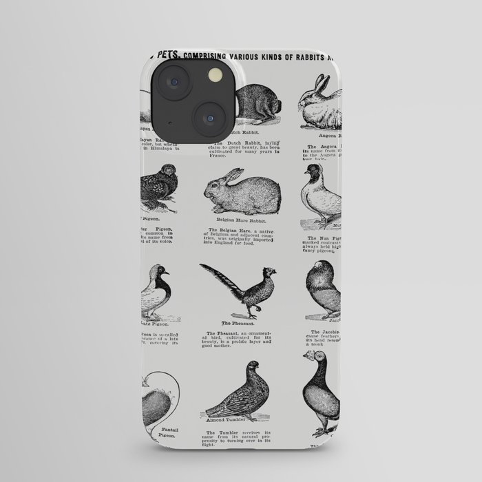 Domestic Pet (The Open Door to Independence) iPhone Case