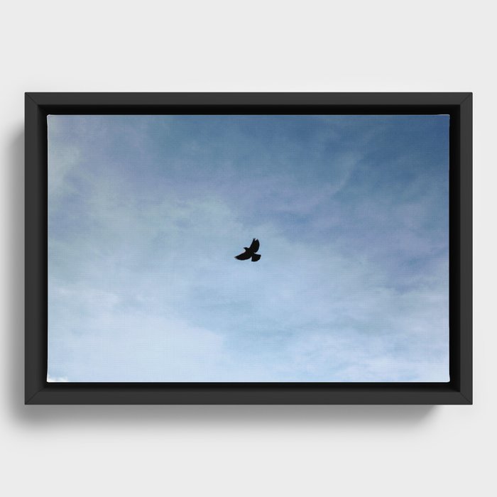 Bird Framed Canvas