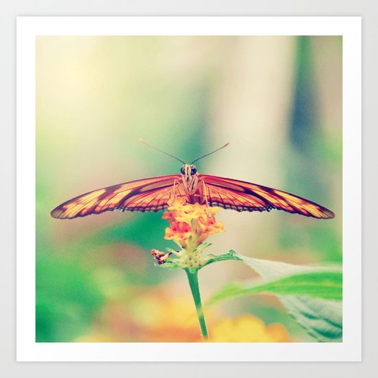 Butterfly retro Art Print