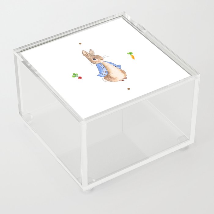 Peter Rabbit Pattern Acrylic Box