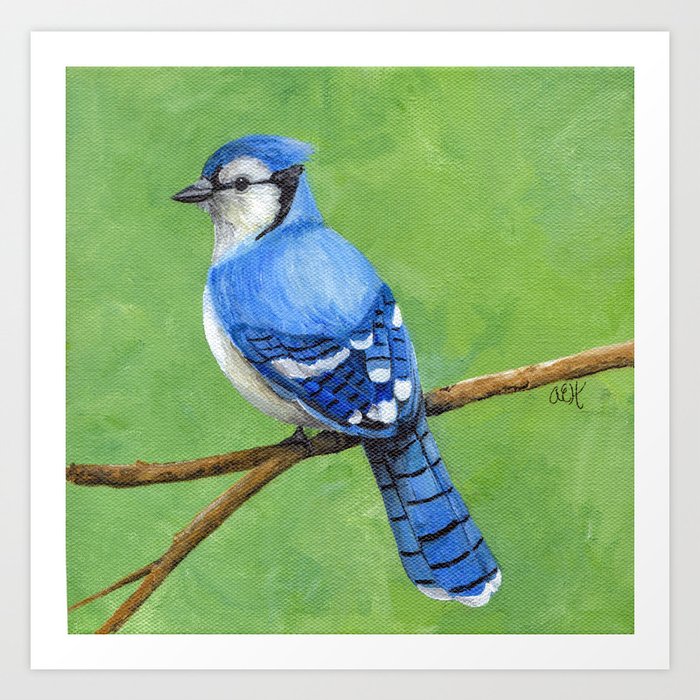 Blue Jay Art Art Print By Ahockenberry Society6