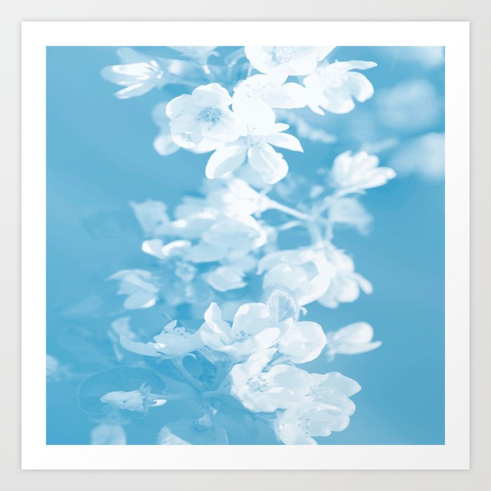 Spring Atmosphere White Flowers Sky Blue Background Decor Society6 Buyart Kunstdrucke Von Pivivikstrm Society6