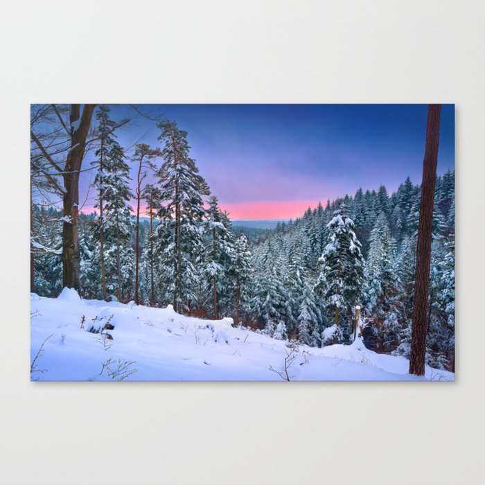 Winter view Canvas Print