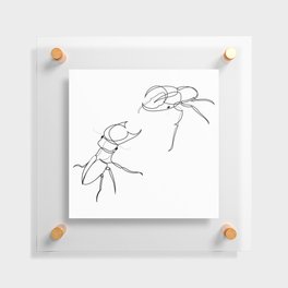 Beetle Battle Floating Acrylic Print