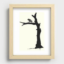 The Little Owl In The Tree Recessed Framed Print
