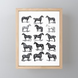 Vintage Horse Breeds Chart Black and White Framed Mini Art Print