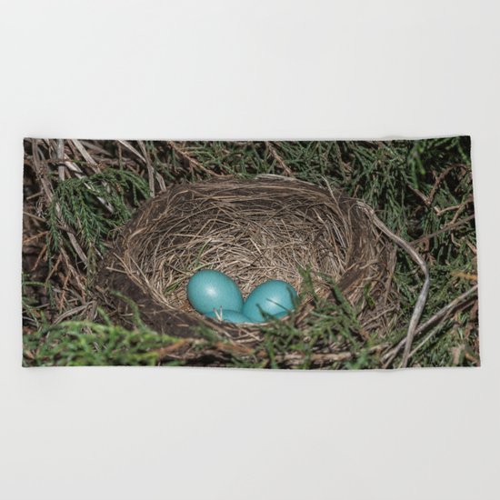 Robins nest with eggs Beach Towel