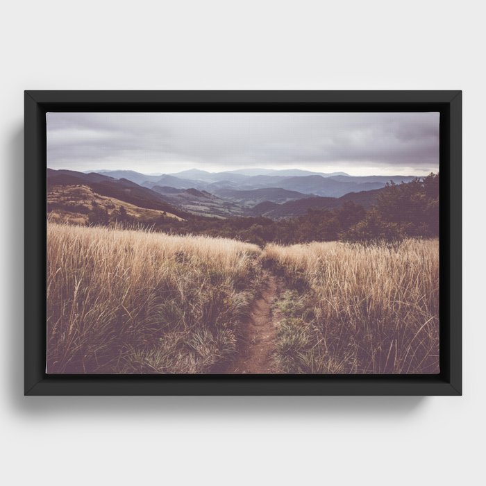 Framed Canvas