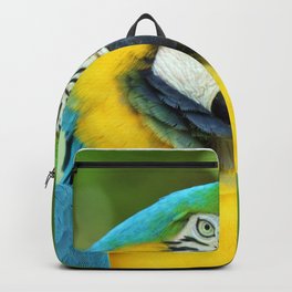 Blue-and-yellow Macaw Backpack