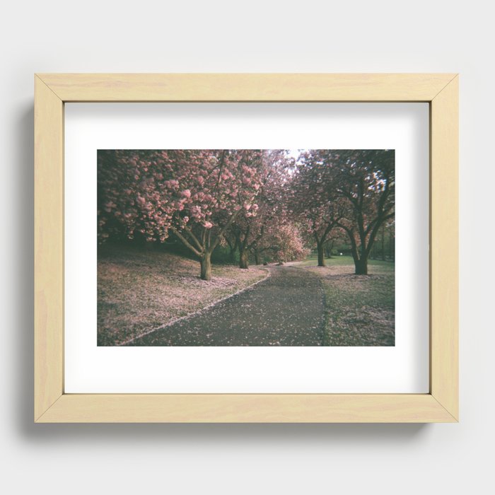 Cherry Blossoms on Film Recessed Framed Print