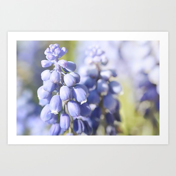 No Winter Lasts Forever Art Print By Traceytilson Society6