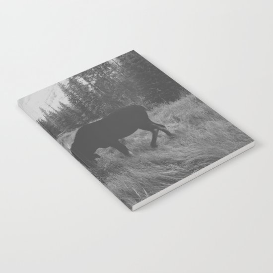 Moose Battle Notebook