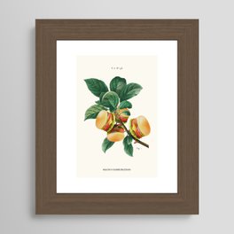 BURGER PLANT Framed Art Print | Green, Popart, Plant, Vintage, Funny, Curated, Collage, Color, Kitchen, Graphicdesign 
