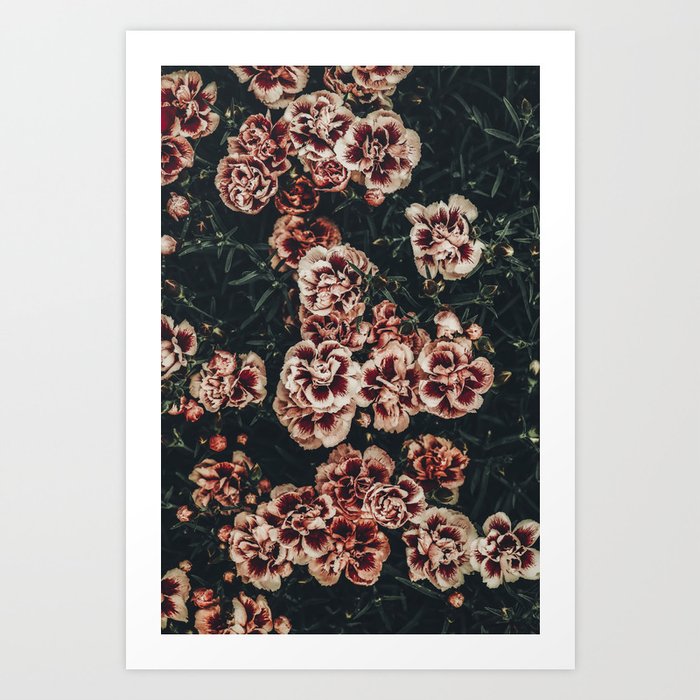 Carnation Flowers - French Flower Market - Pink Floral Flower Photography by Ingrid Beddoes  Art Print