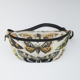 Papillon III Vintage French Buitterfly & Moth Chart Fanny Pack