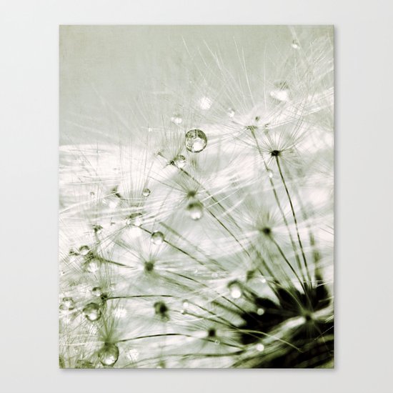 droplets Canvas Print