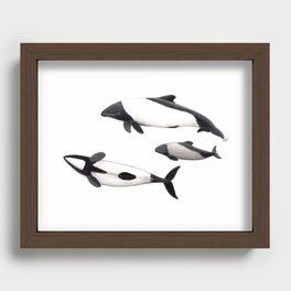 Commerson´s dolphins Recessed Framed Print