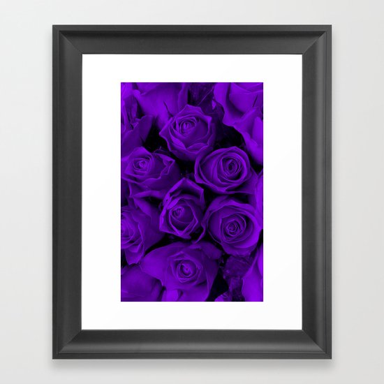 Purple Roses Framed Art Print