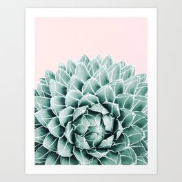 Succulent splendour - blush Art Print