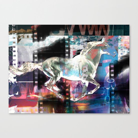 horse 02 Canvas Print