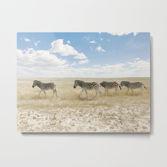 Zebra on African Savannah Metal Print