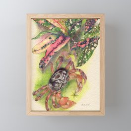 Crab Framed Mini Art Print