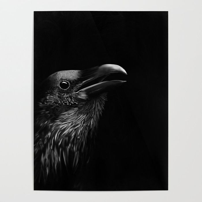 Dark Raven Poster
