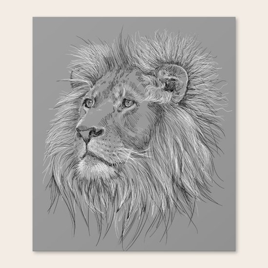 Lion Canvas Print