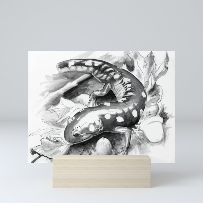 Salamander Study Mini Art Print