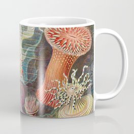 Ernst Haeckel Sea Anemones Vintage Illustration Coffee Mug