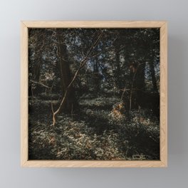 Dappled Light Framed Mini Art Print