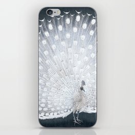 Peacock on Charcoal Black iPhone Skin