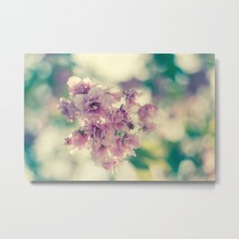 Cherry blossom Metal Print | Nature, Photo 