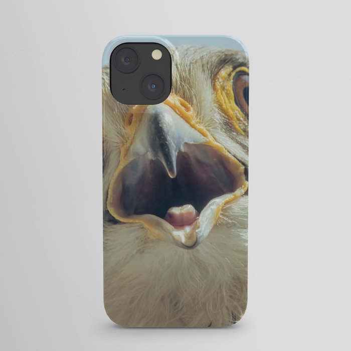 Common Kestrel Portrait Beak Wide Open (Falco tinnunculus) European kestrel. iPhone Case