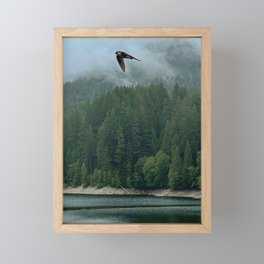 In Flight Framed Mini Art Print