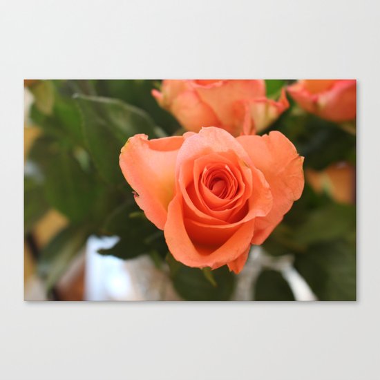 Single Rose Canvas Print