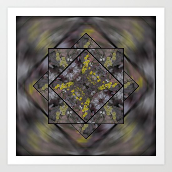 Wattle in Focus Art Print