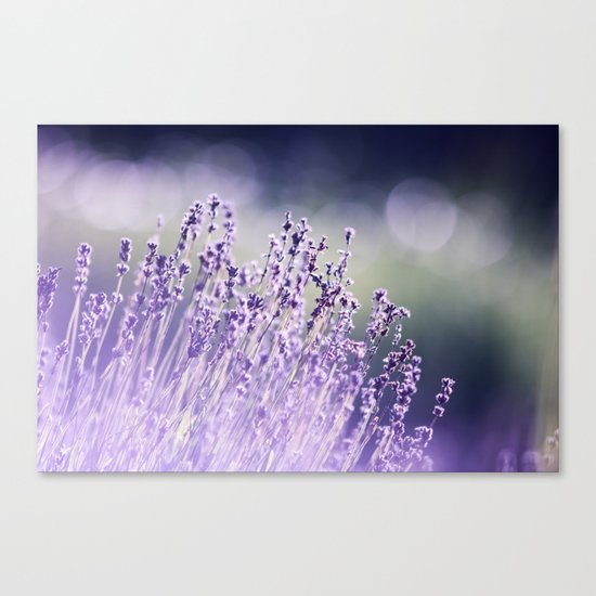 Spring Purple I Canvas Print