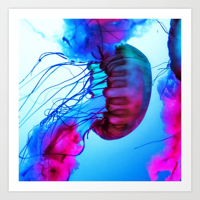 Art Print