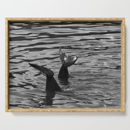 Two dolphins playing in the sea | Dolphin tail | Black and white nature photography Serving Tray