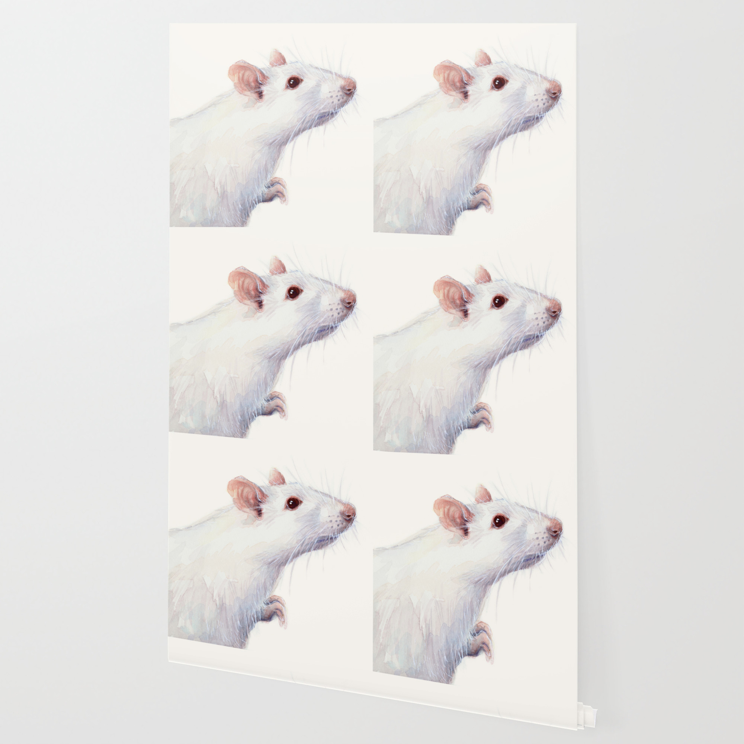 White Rat Watercolor Albino Rat Animal Wallpaper By Olechka Society6 Give (hair) shape or fullness with a rat. society6