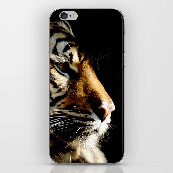 Close-up of Sumatran tiger on a black background iPhone Skin