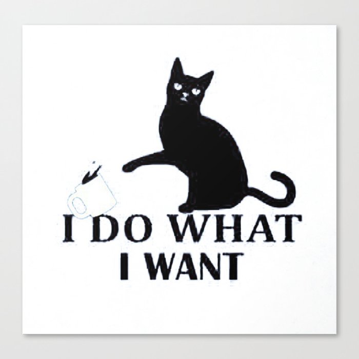 I Do What I Want Funny Joke Cat Animal T Shirt Canvas Print By