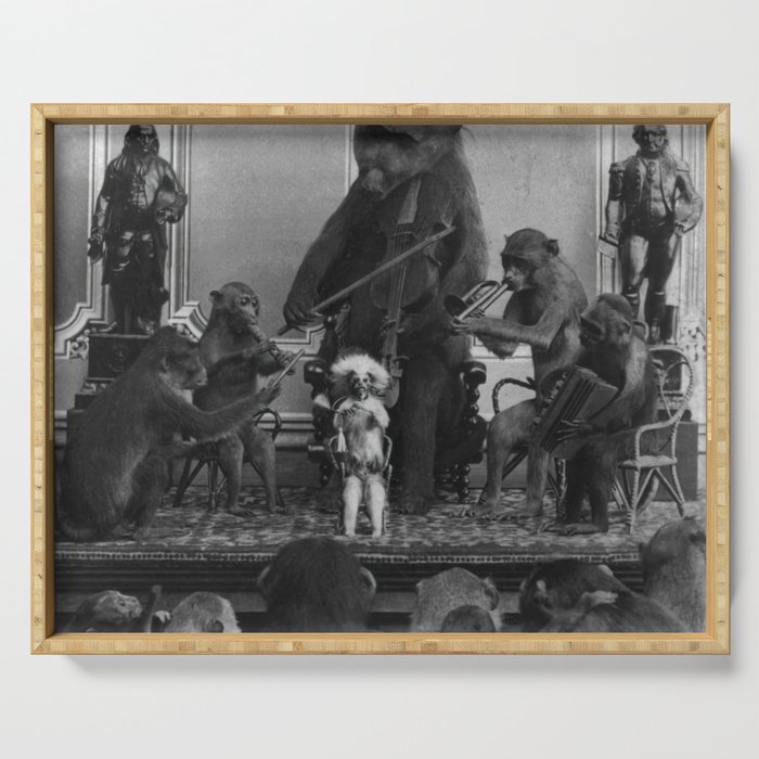 The good-time jamborine Eclectic animal monkey and bear dixieland band funny macabre creepy black and white photograph - photography - photographs Serving Tray